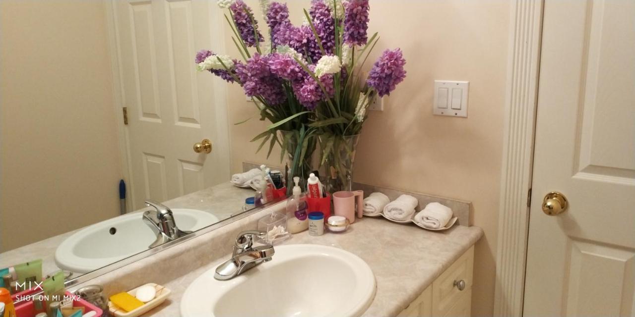 Helen'S House / Close To Skytrain And Airport แวนคูเวอร์ ภายนอก รูปภาพ